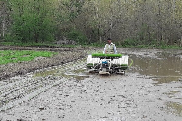 اجرای طرح تسطیح، نوسازی و تجهیز اراضی شالیزاری روستای شموشک گرگان