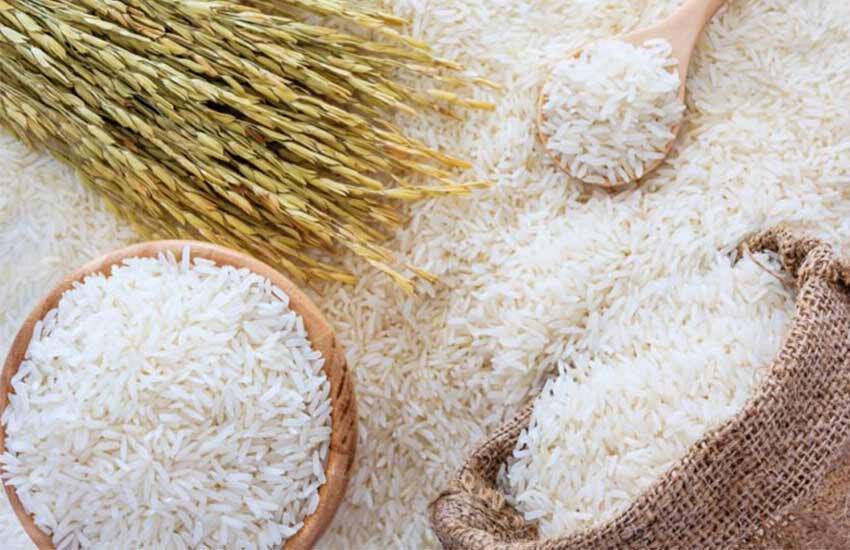 28 مباشر برای تحویل برنج پرمحصول در مازندران فعال هستند