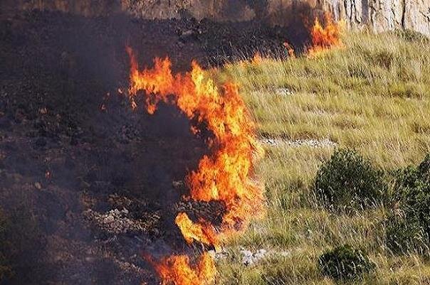 امسال 17 فقره حریق در عرصه های منابع طبیعی مازندران رخ داد