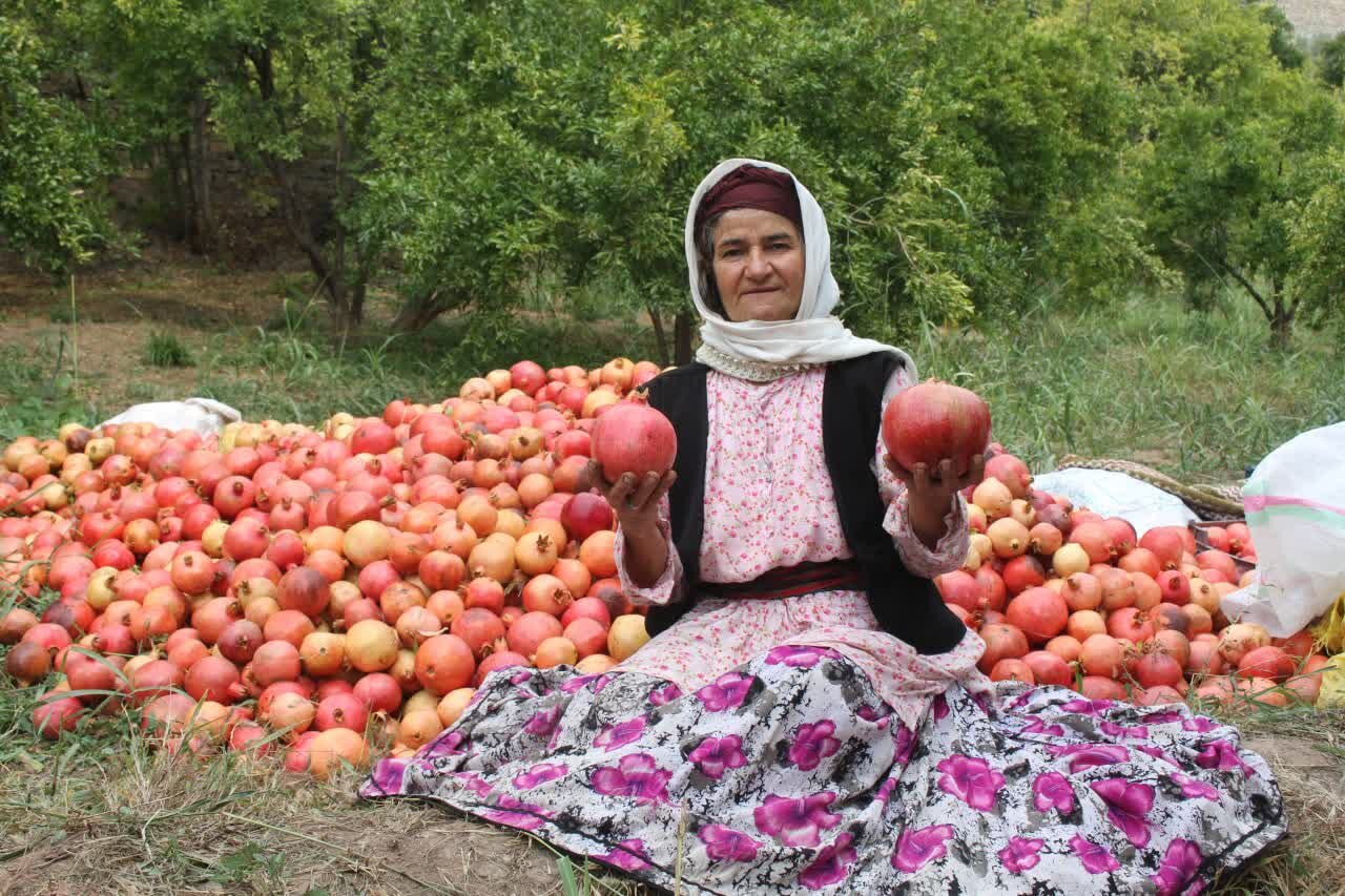 ویترینی از کشاورزی و گردشگری در جنوبی‎ترین نقطه گیلان