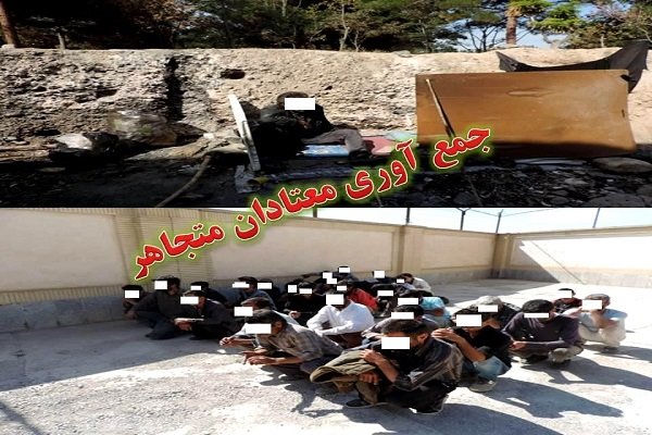 جمع آوری 115 معتاد متجاهر در ماسال