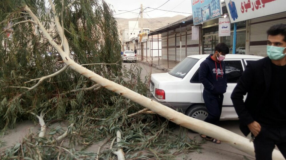 تندباد به سربندی 185 مسکن در مازندران آسیب زد