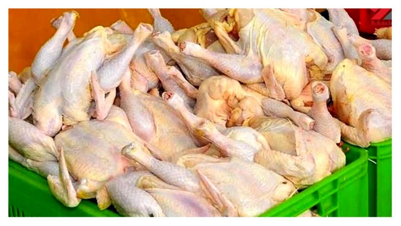 توزیع روزانه 300 تُن مرغ در گیلان