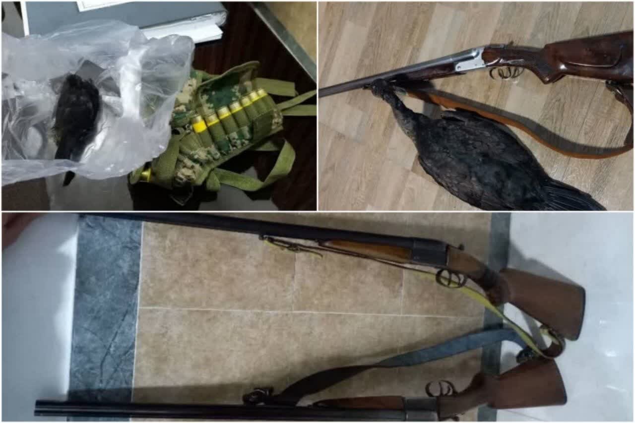 توقیف 3 قبضه سلاح شکاری از شکارچیان متخلف در آستارا