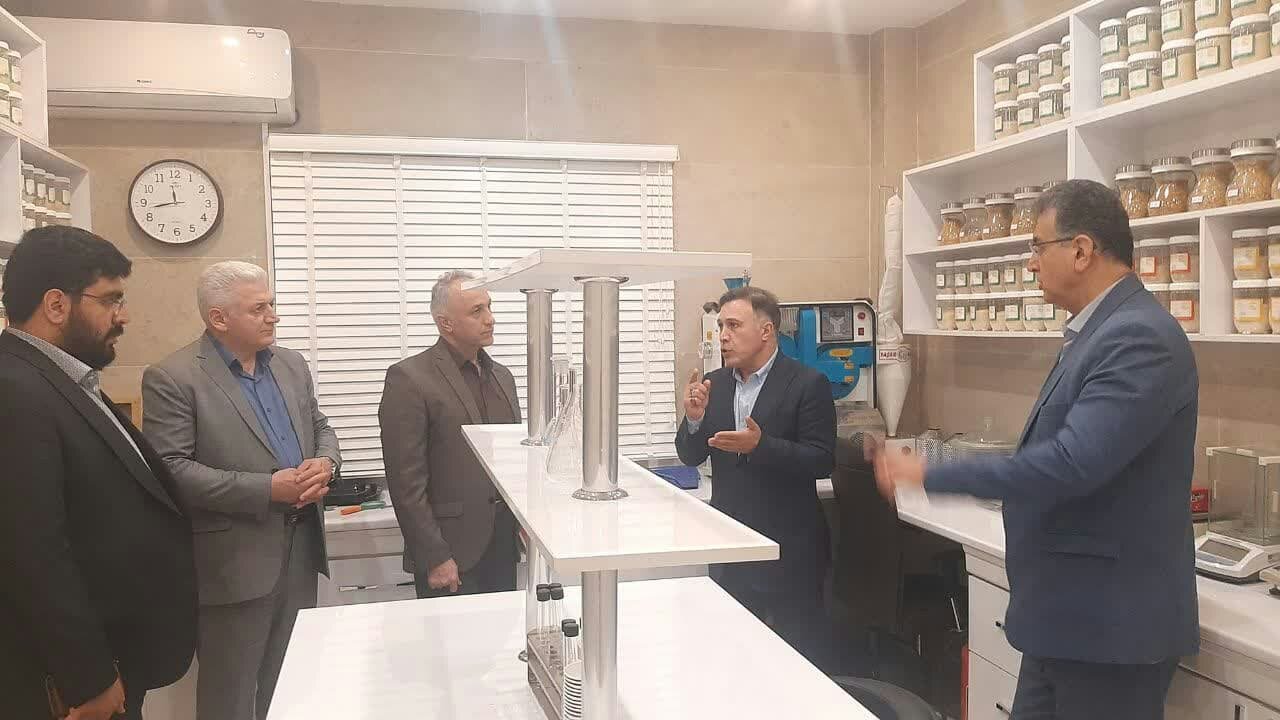 50 هزار هکتار از مزارع مازندران زیر کشت برنج ارگانیک می رود