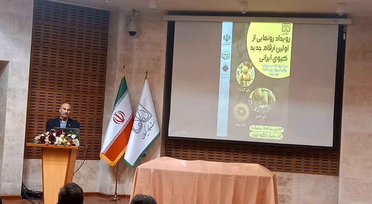 رونمایی از ارقام جدید کیوی در گیلان