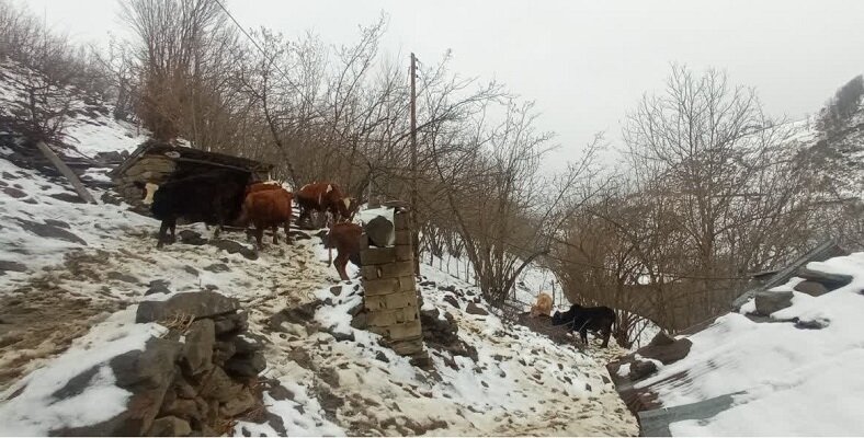 بارش برف در بیش از 100 روستای بخش رحیم آباد رودسر