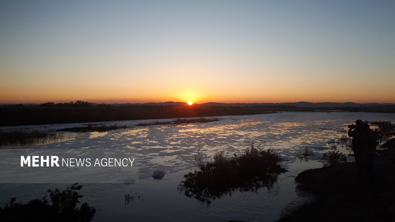زیست 200گونه پرنده در میانکاله/ وضعیت تالاب‌های ایران نامناسب است