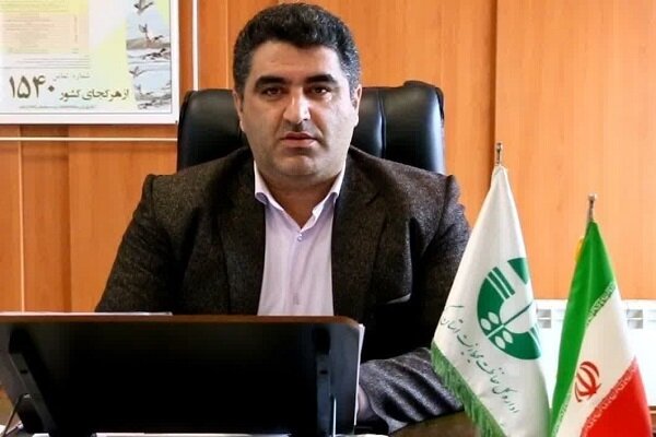 جایگاه سیر صعودی و توسعه حقوق محیط زیست در  تدوین قوانین