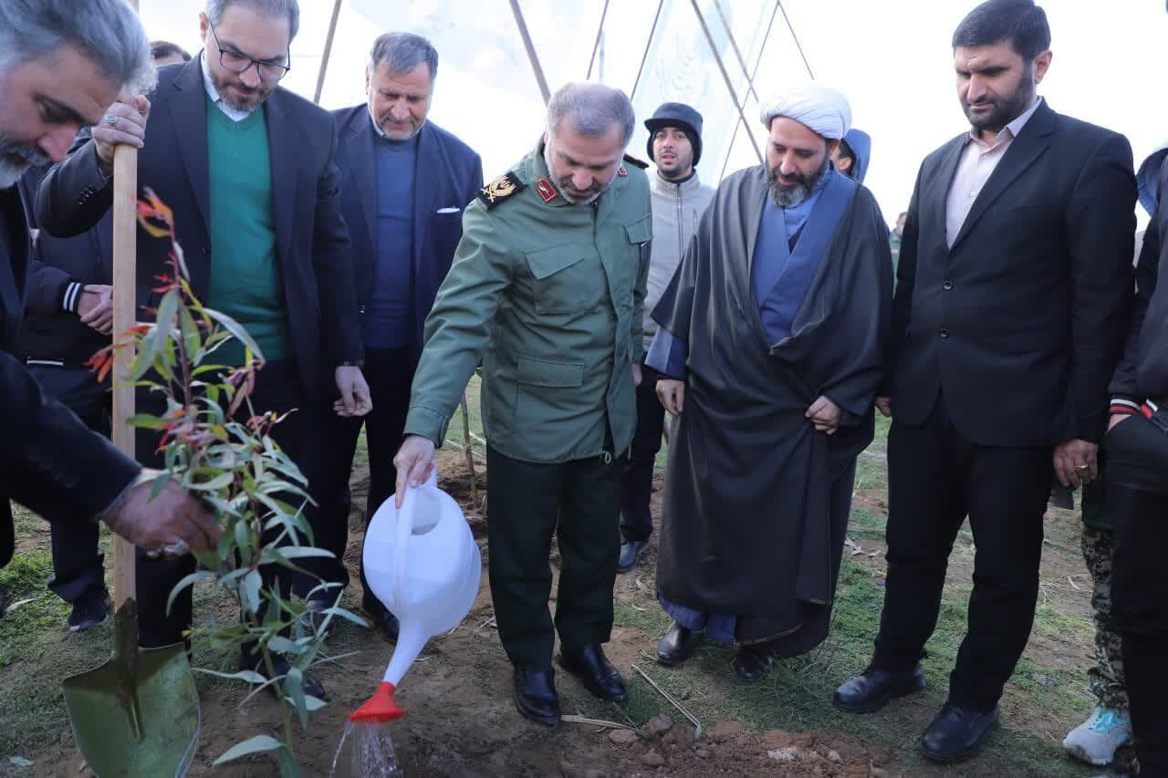 1.5 میلیون اصله درخت در مازندران کاشته می شود