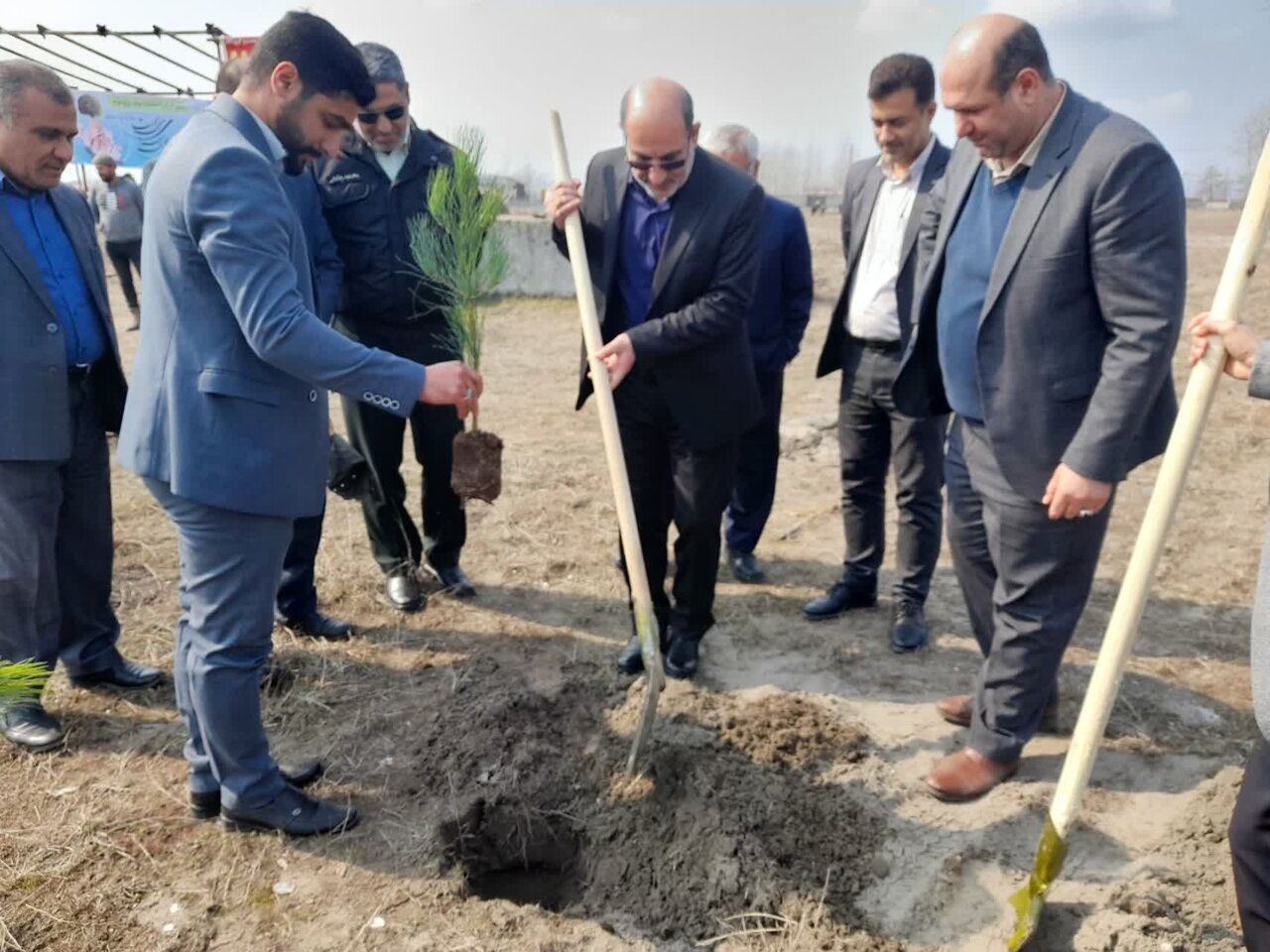 توزیع 20 هزار اصله نهال در شهرستان رودسر