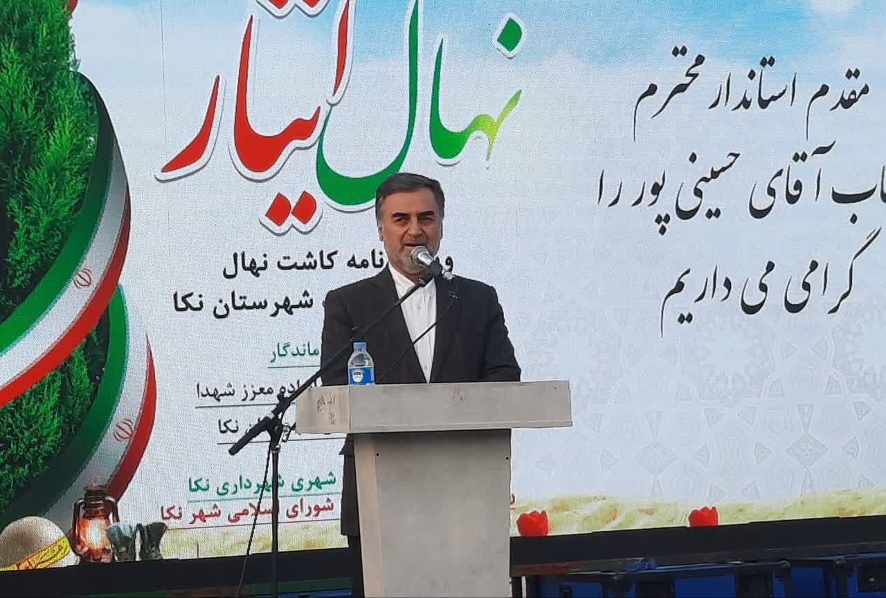 مازندران استان ویژه در احیای محیط زیست است/ غرس 4 میلیون نهال