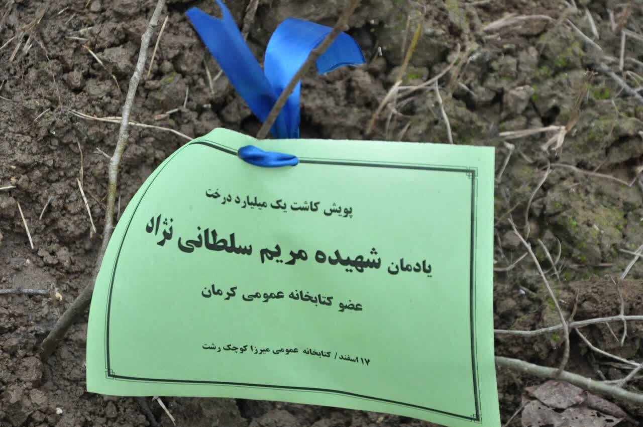 4 اصله نهال به یاد شهدای کتابخوان کرمانی در رشت غرس شد