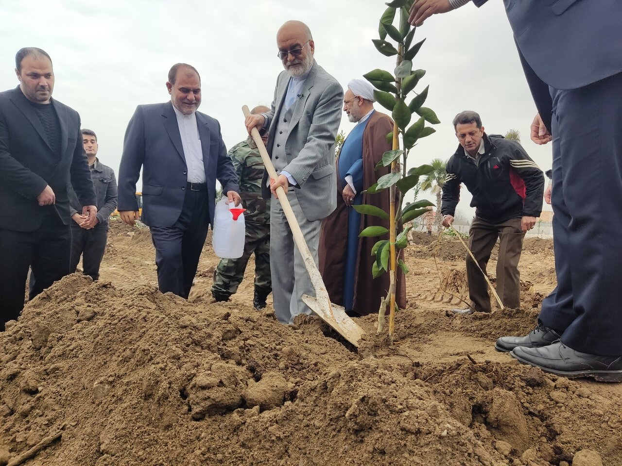 کاشت 1850 اصله نهال جای ویلاهای تخریب شده در نوشهر