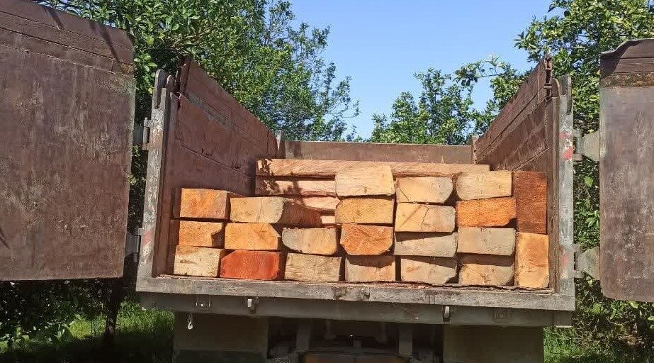 محموله چوب قاچاق جنگلی در نشتارود توقیف شد