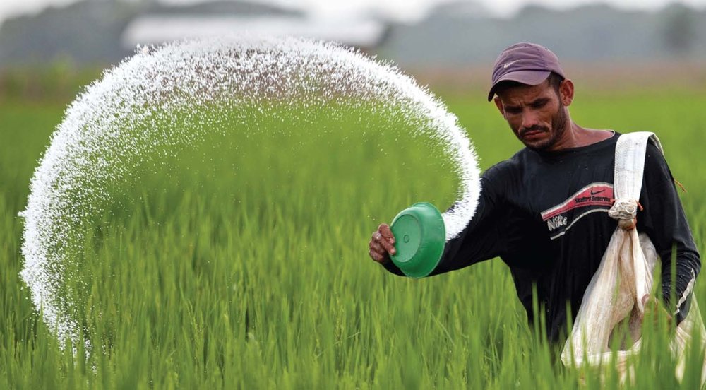 تأمین بیش از 32 هزار تن کود شیمیایی در گیلان