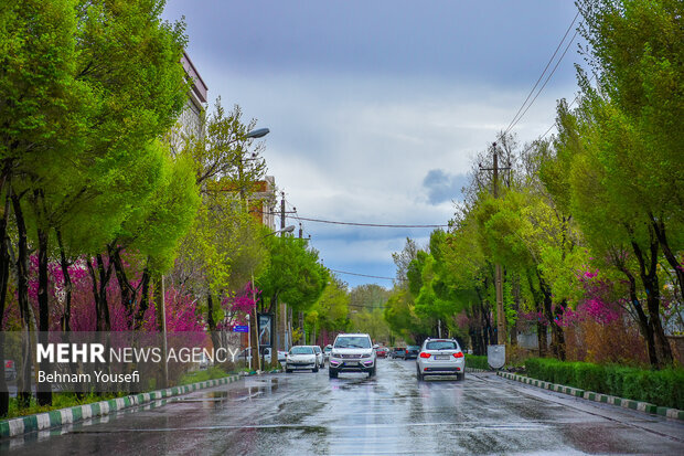 جانباز رودسری به همرزمان شهیدش پیوست