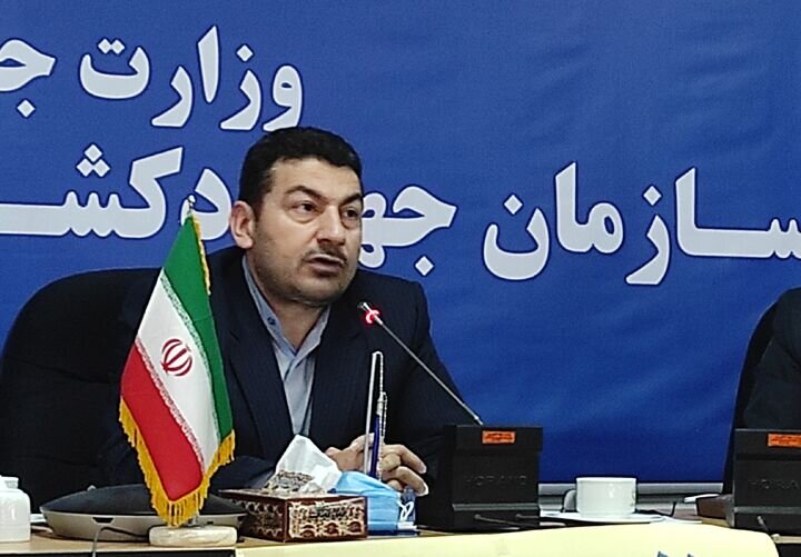 پیش بینی برداشت بیش از 110 هزارتن کلزا در گلستان