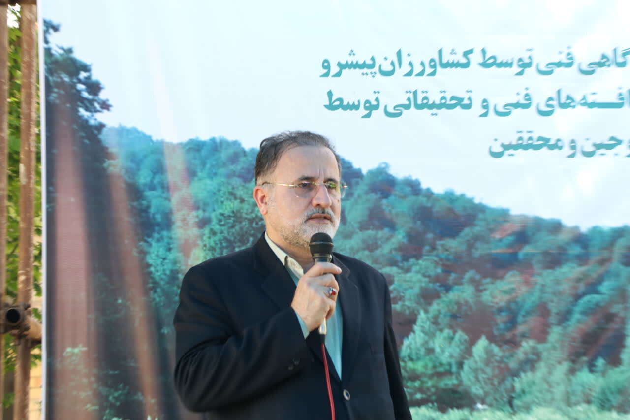 پیش بینی برداشت بیش از 60 تُن گل محمدی در شفت