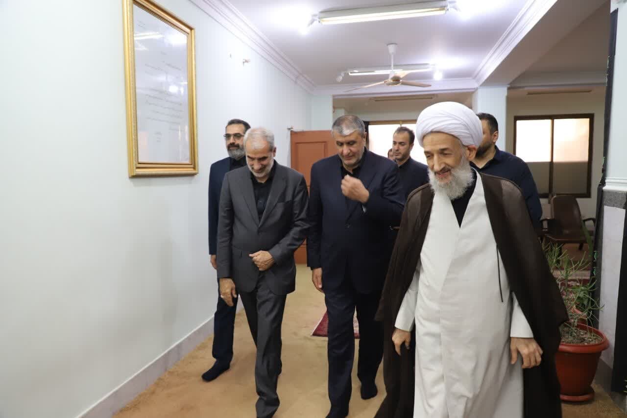 8 مرکز پرتودهی هسته ای در کشور راه اندازی می شود