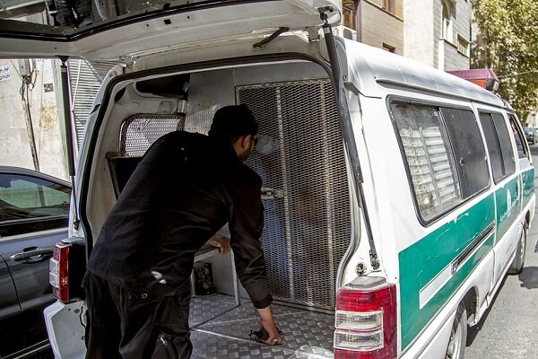 اراذل و اوباش مسلح در آمل دستگیر شدند