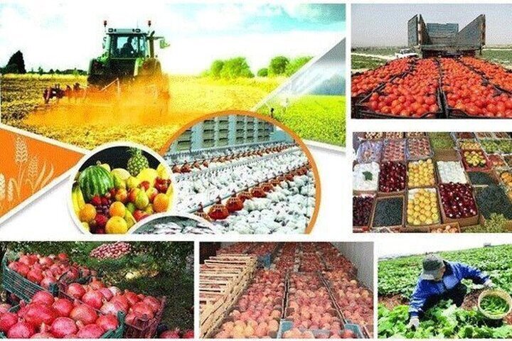 تقویت دیپلماسی اقتصادی نیازمند تقویت صادرات است