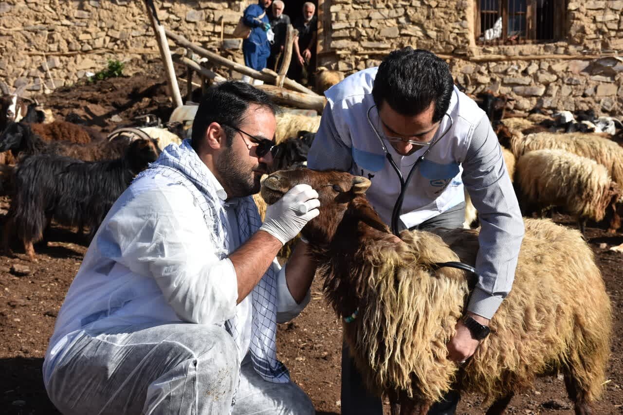 رزمایش جهاد دامپزشکی در 19 روستای چهاردانگه ساری برگزار می شود
