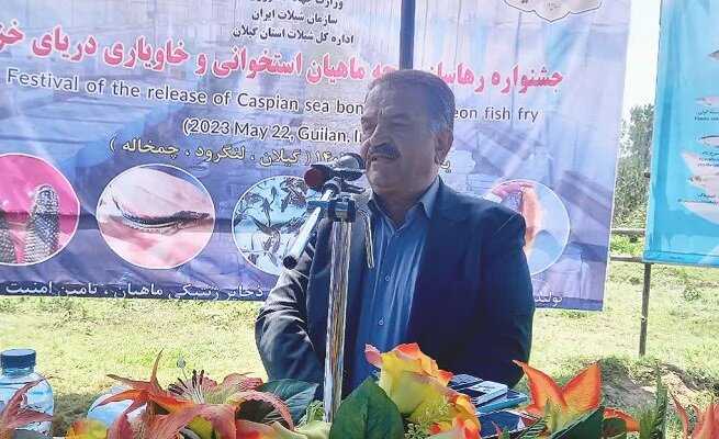 رهاسازی 450 میلیون قطعه بچه ماهی در 5 استان کشور