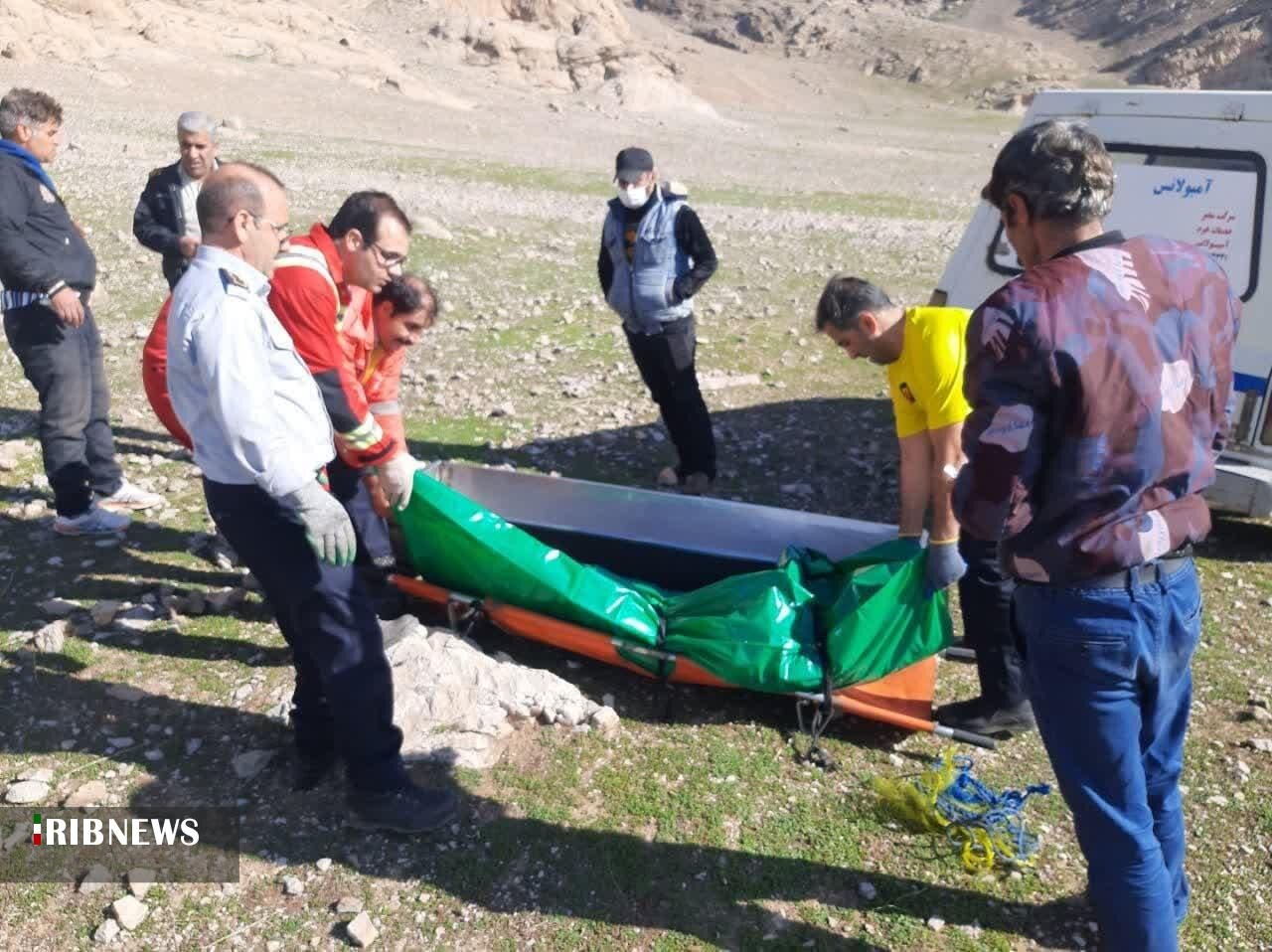 لزوم حل معضل سگ های ولگرد در مازندران/ مشکلی که باید حل شود