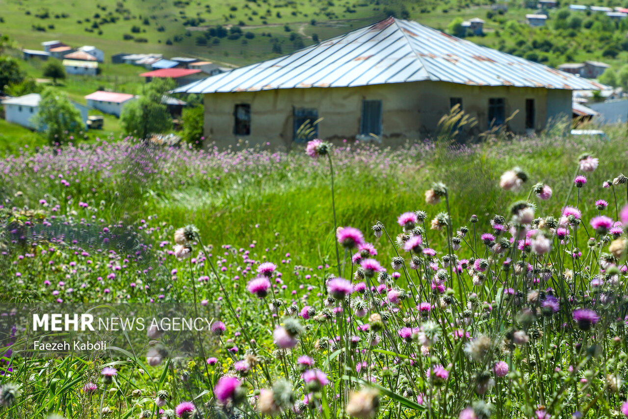 بهشت نگارستان ایران
