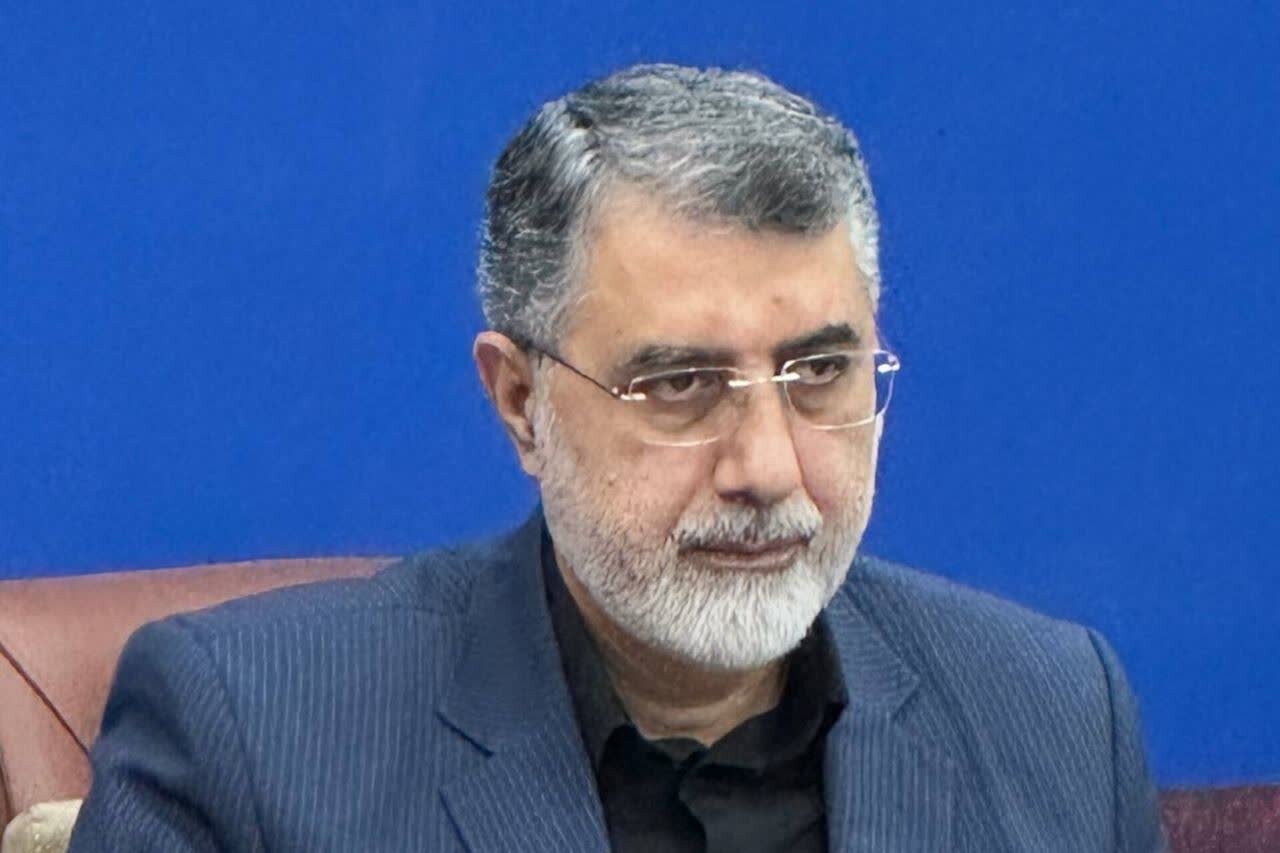 طرح های حوزه جمعیت باید دارای پیوست فرهنگی باشد
