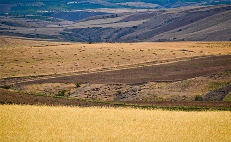 15 هزار کشاورز مازندران در طرح جهش تولید دیمزارها فعال هستند