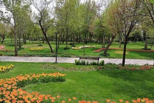 بیش از 6 هکتار به عرصه‌های فضای سبز گرگان اضافه شد