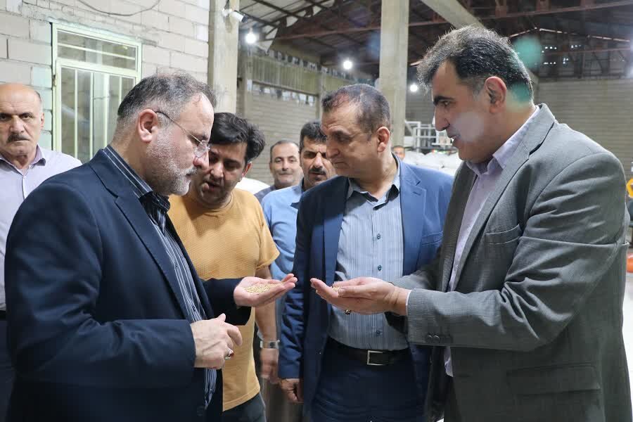 آمادگی 76 کارخانه‌ شالیکوبی برای تبدیل شلتوک به برنج در شفت