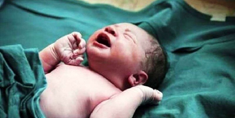 5 نوزاد رها شده توسط گشت سیار بهزیستی در  کلاله ساماندهی شدند