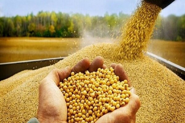 1.9 میلیون تن نهاده های دامی از بنادر مازندران ترخیص شد
