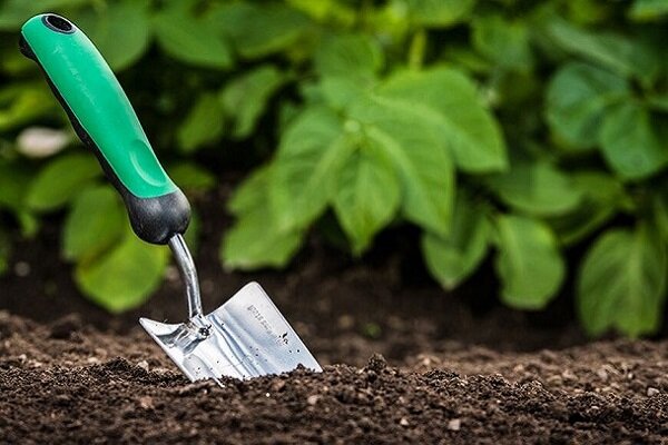 157 هزار تن تخصیص کودهای یارانه ای برای گلستان