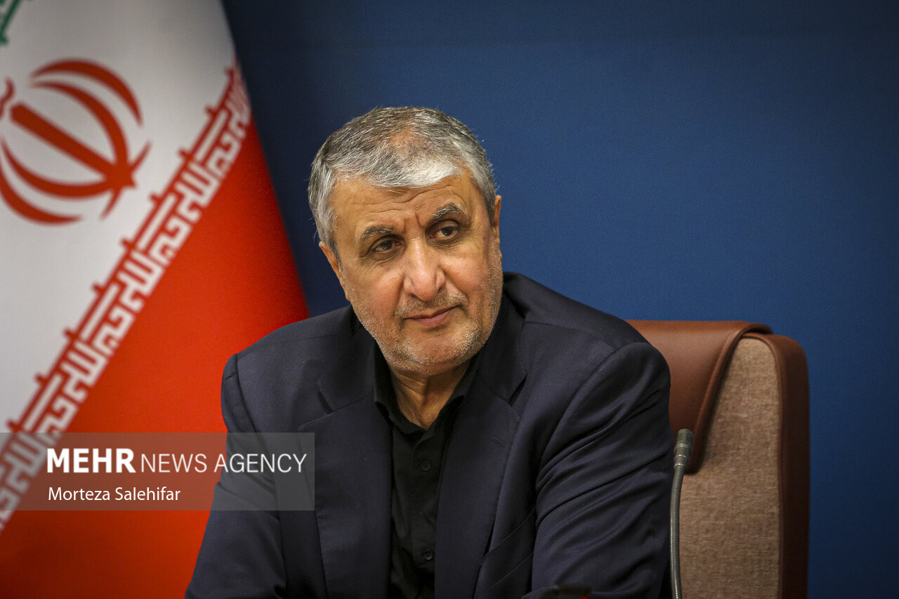 ایران برنامه هسته ای پنهانی ندارد/ ترس استکبار از قدرت کشور