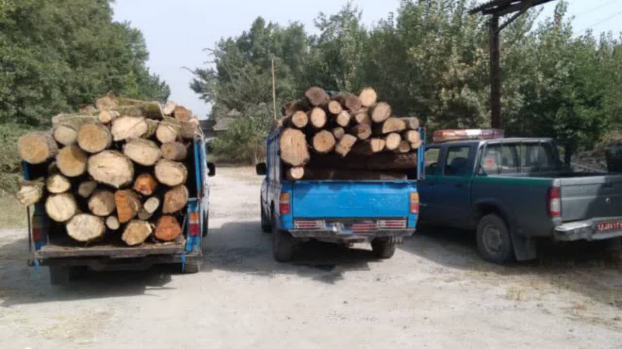 وقوع سیلاب در روستای قلعه قافه بالا بخش مرکزی مینودشت