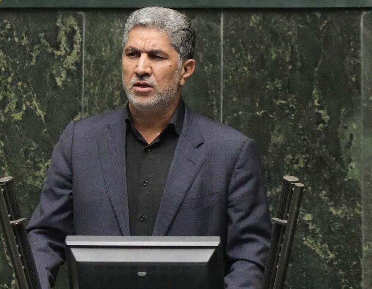 پرداخت 30 درصد از مطالبات کلزاکاران گلستانی تا نیمه مهرماه امسال