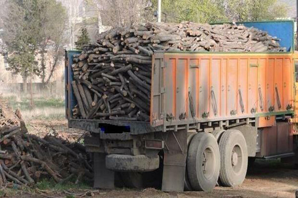 دیدار رئیس سازمان بازرسی کشور با خانواده شهید امنیت عشوری