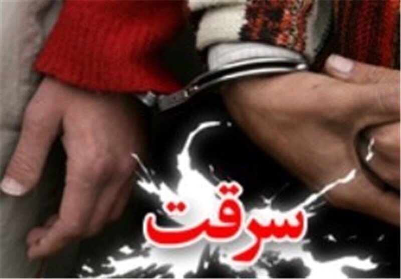 29 دستگاه وسیله نقلیه سرقتی در گیلان کشف شد