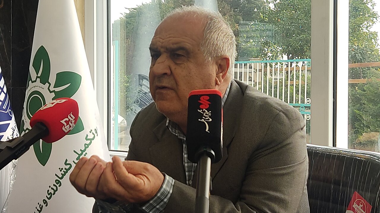 انبارهای برنج خالی شده است