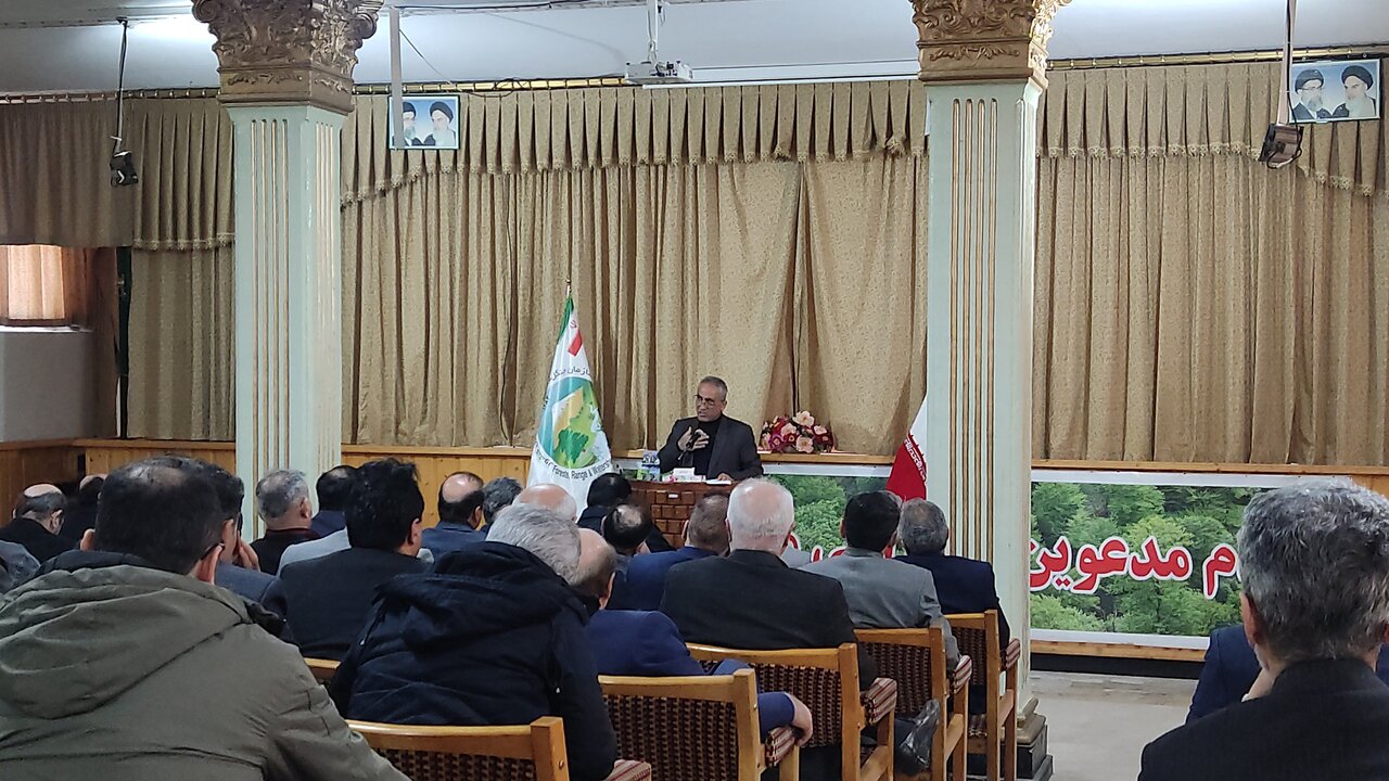 577 هزار هکتار جنگلکاری در شمال کشور انجام شد