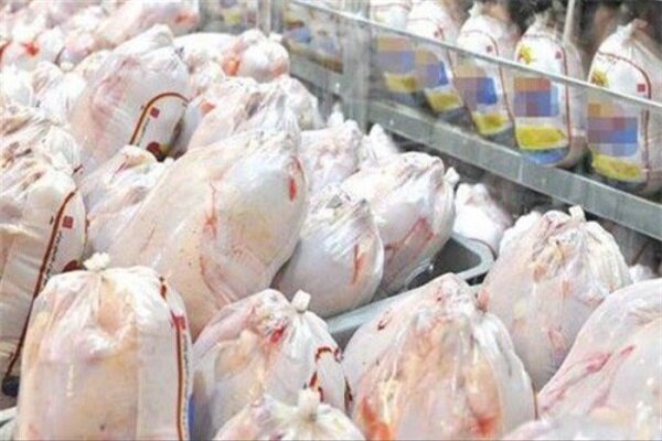 46 تن گوشت مرغ در ساری توزیع شد