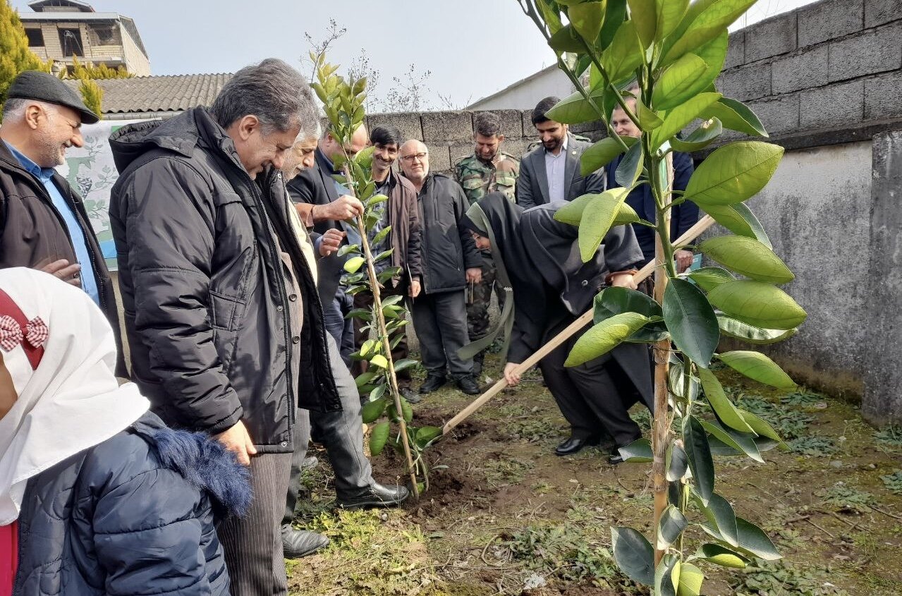 توزیع 48 هزار اصله نهال همزمان با هفته منابع طبیعی در رودسر