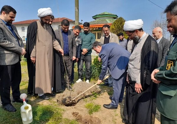 20 هزار نهال در بخش مرکزی رودسر غرس شد