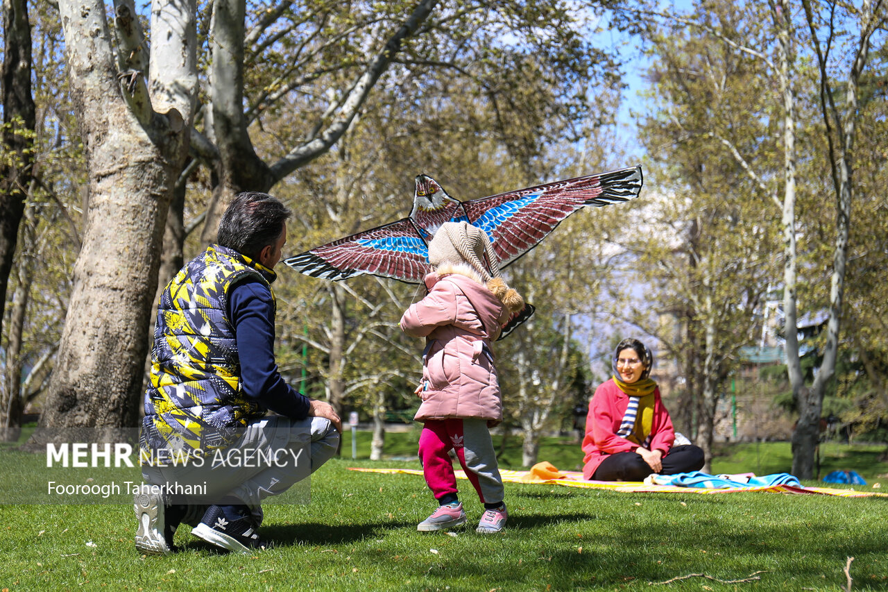 روز طبیعت، آتش‌سوزی و تخریب عرصه‌ها در مازندران نداشتیم