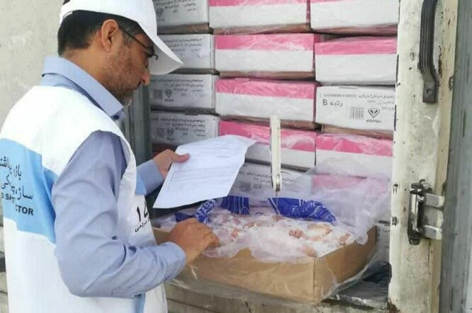 479 تخلف بهداشتی دامپزشکی در مازندران ثبت شد