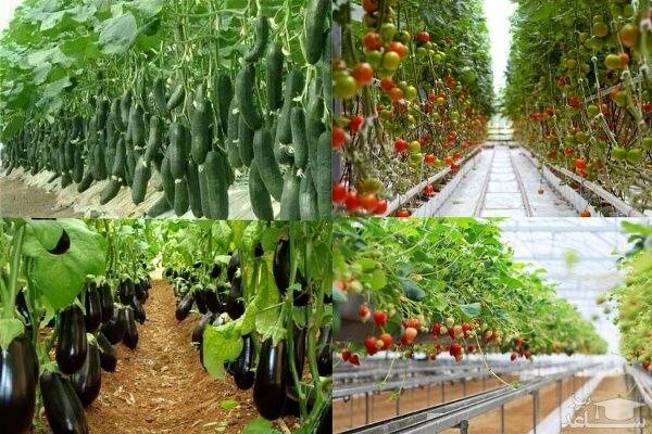 رسیدگی به 2000 فقره پرونده روزهای نوروز در مازندران